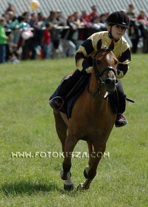 Obrazek